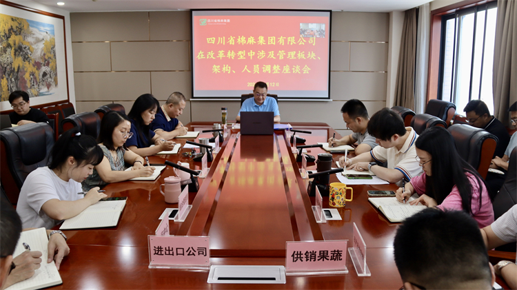 集團(tuán)公司召開在改革轉(zhuǎn)型中涉及管理板塊、架構(gòu)、人員調(diào)整座談會