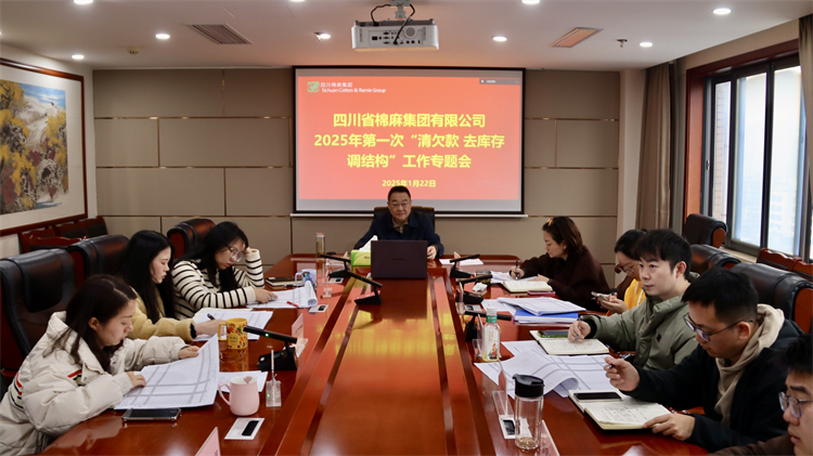集團公司召開2025年第一次“清欠款、去庫存、調結構”工作專題會